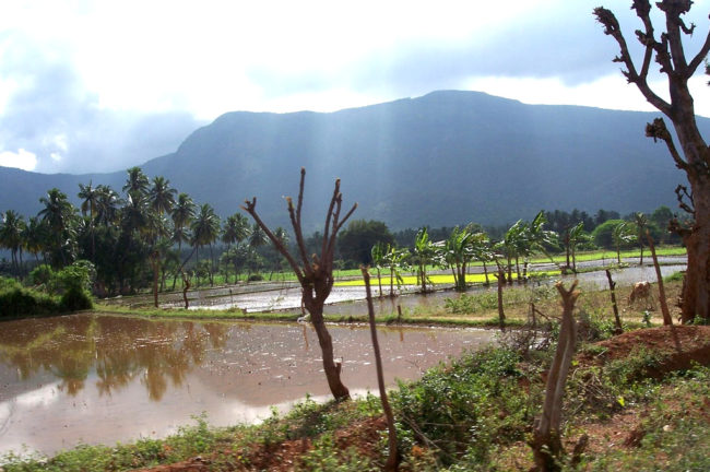 Kolli hills 