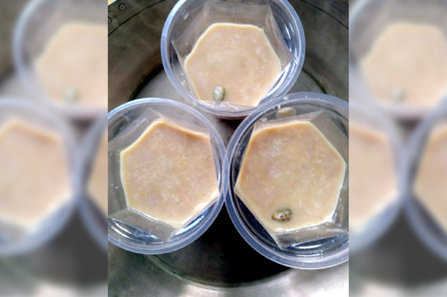 Caramel Dahi Recipe