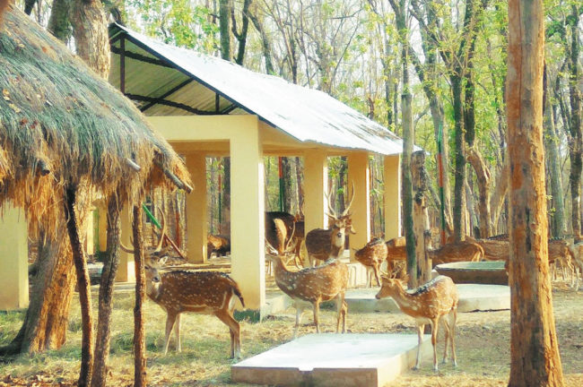 Bonpukuria Deer park