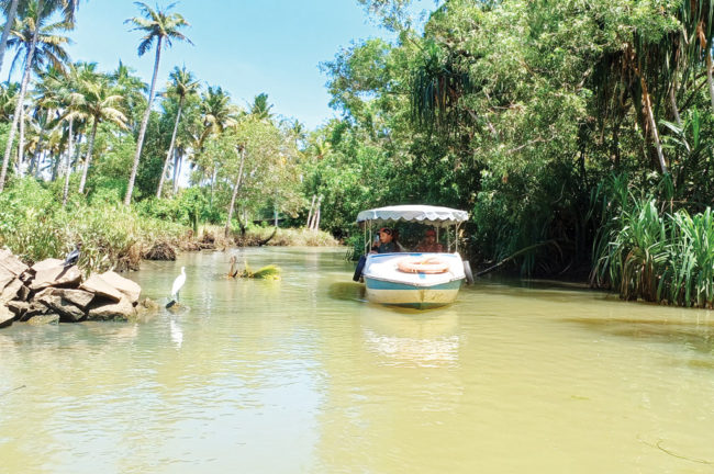 Travel Poovar island