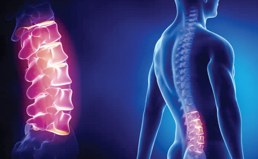 Spinal Cord বা মেরুদণ্ডের অসুখ