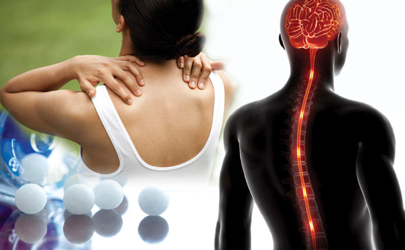 সিরিঙ্গোমিলিয়া