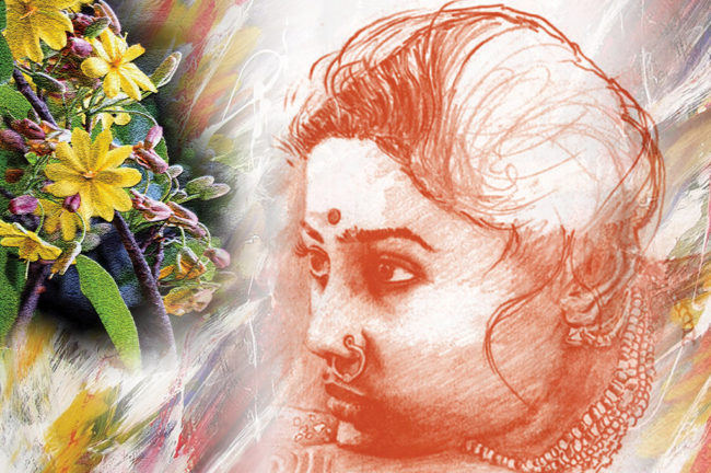 কনকচাঁপা