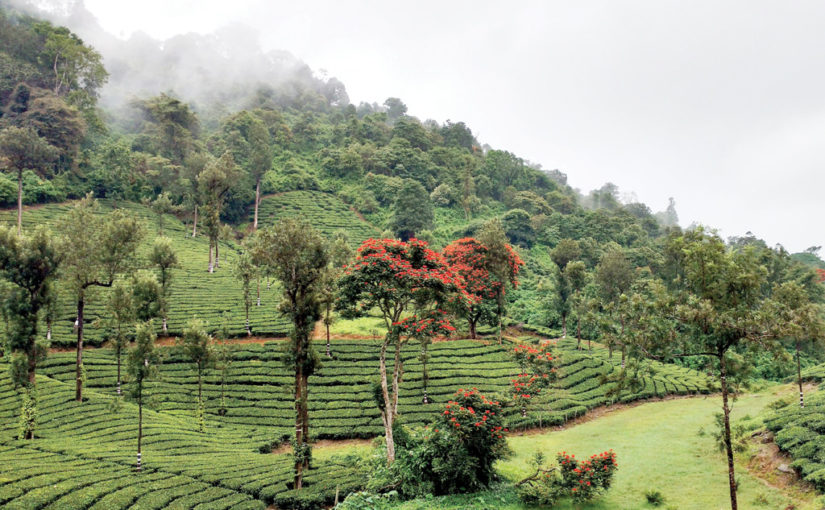 মেঘের বাসা মেঘমালাই