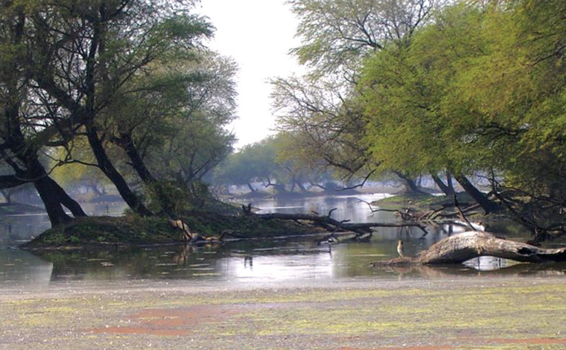 ভরতপুর ন্যাশনাল পার্ক