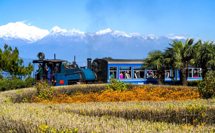প্রিয় সেই দার্জিলিং-টা