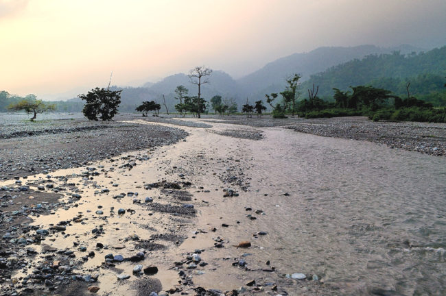 বিজন বনের গহিনে