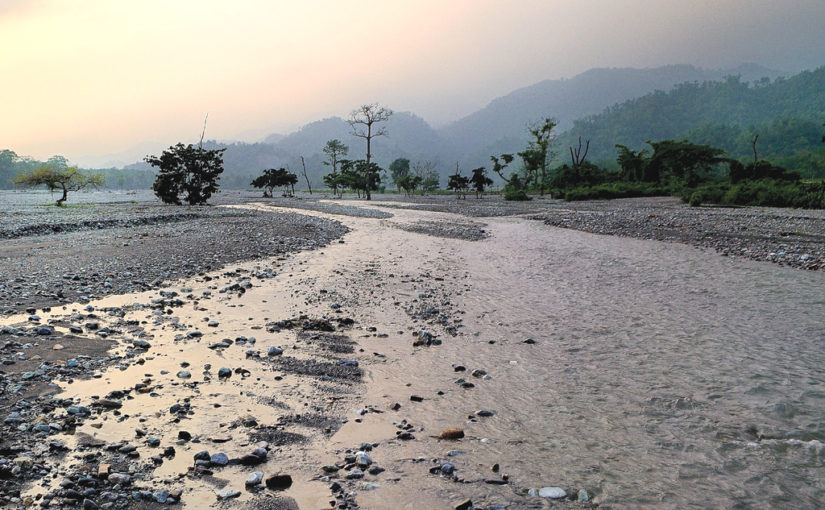 বিজন বনের গহিনে