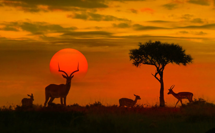 ডেস্টিনেশন কুম্ভলগড়