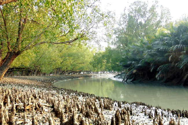 সুন্দরবনের দুই রোমাঞ্চকর দ্বীপে
