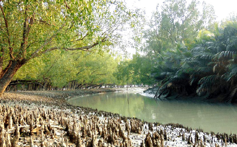 সুন্দরবনের দুই রোমাঞ্চকর দ্বীপে