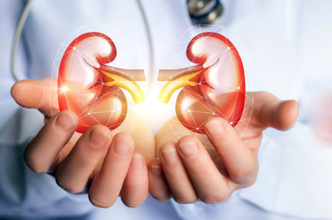 কিডনির সমস্যা ও  উপসর্গ