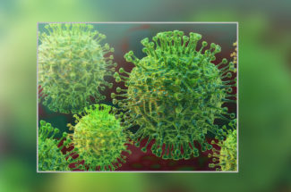 Impact of coronavirus and nature