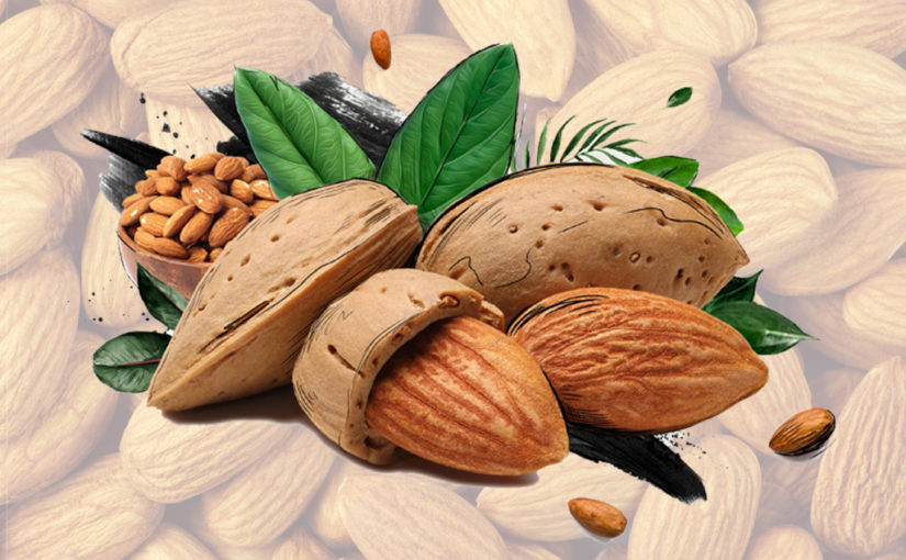 স্বাস্থ্যরক্ষায় আমন্ড