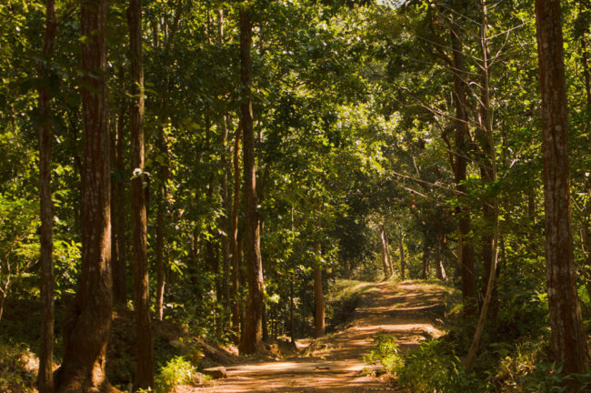 কুলডিহা