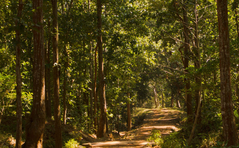 কুলডিহা