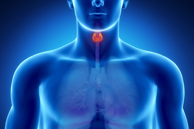 Thyroid ডিসঅর্ডারস্