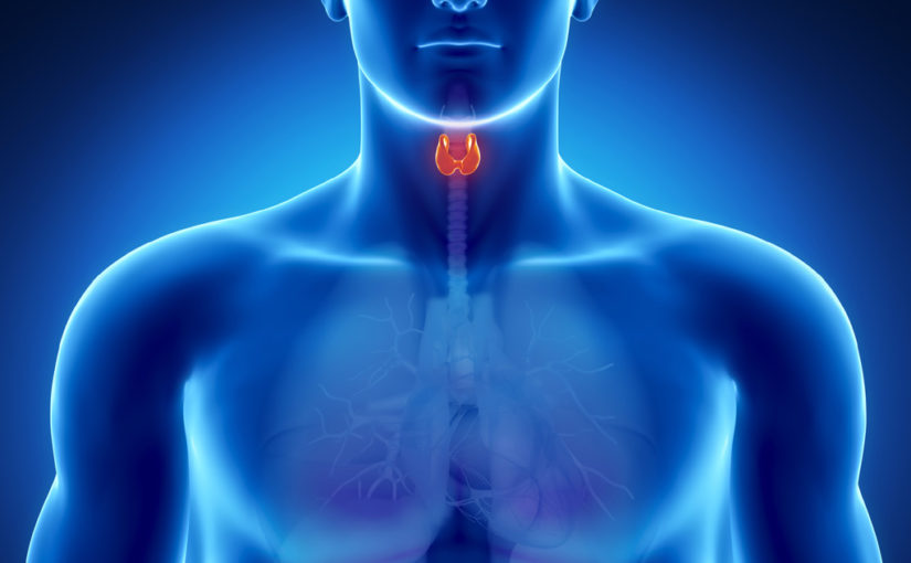Thyroid ডিসঅর্ডারস্