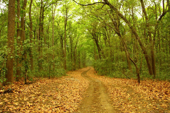 সফর-কথা তৃতীয় পর্ব