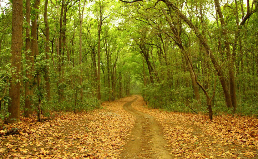 সফর-কথা তৃতীয় পর্ব