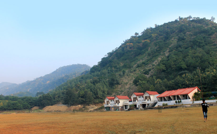 ময়ূরীগহন