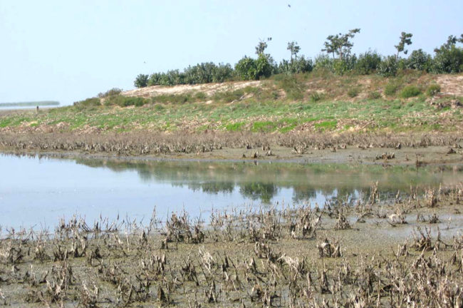 মঙ্গলজোড়ি ও চিলকা কথা