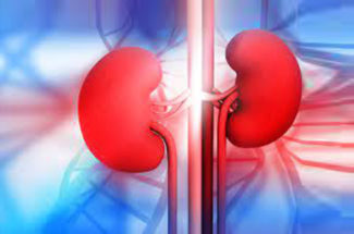 Problems of Kidney