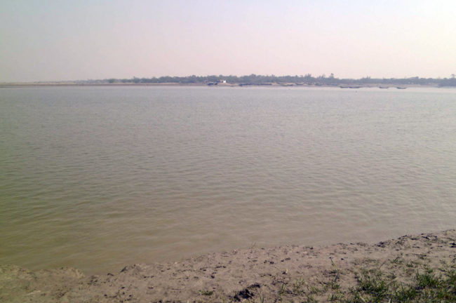 জলজঙ্গলের গল্পগাথা-দ্বিতীয় পর্ব