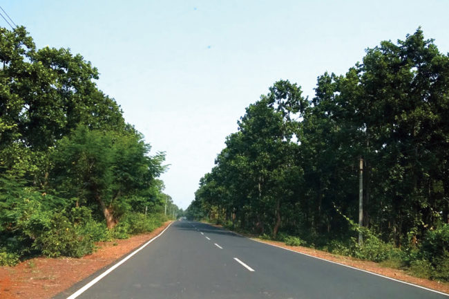 Travel-pack আরণ্যক( শেষ পর্ব )