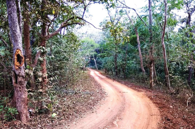 কাঙ্গের ভ্যালি জাতীয় উদ্যান-পর্ব ২