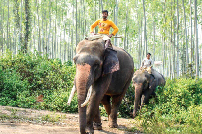 রাঙামাটির বিষ্ণুপুর – শেষ পর্ব