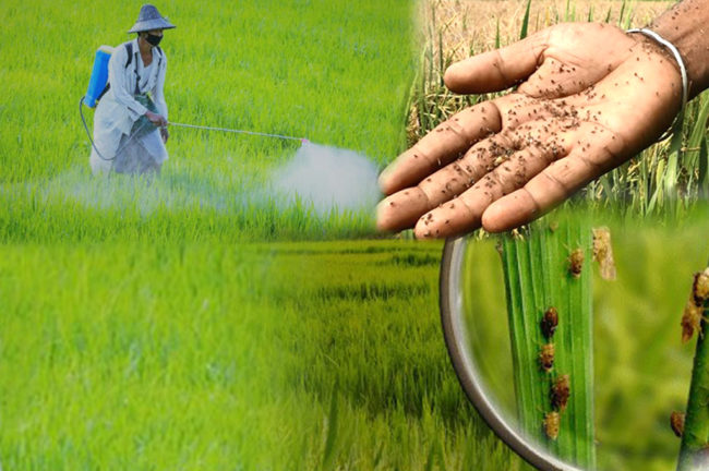 কৃষকদের উৎপাদন খরচ বাঁচাতে হবে