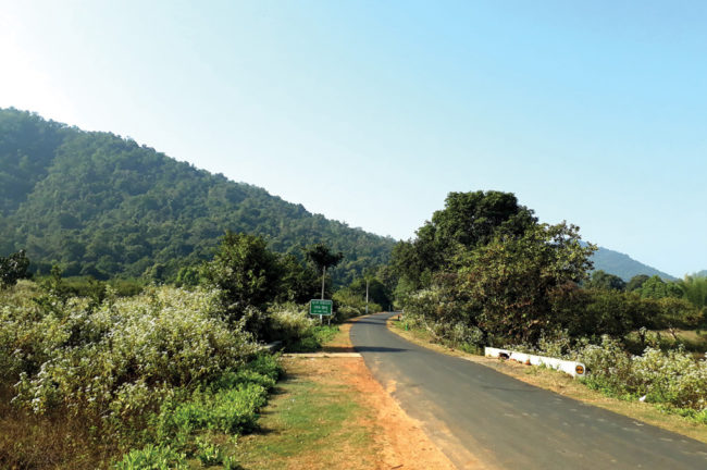 সাতকোশিয়া গর্জ অভয়ারণ্যে পর্ব-২