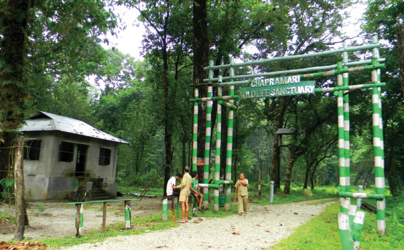 অরণ্য ছুঁয়ে উপত্যকায়