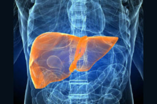 Fatty liver diagnosis and treatment