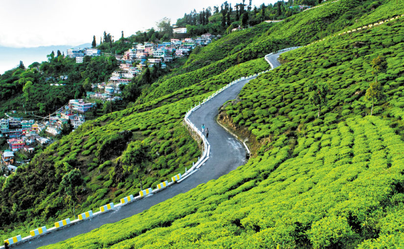 শ্বেত অর্কিডভূম কার্শিয়ং- পর্ব ১