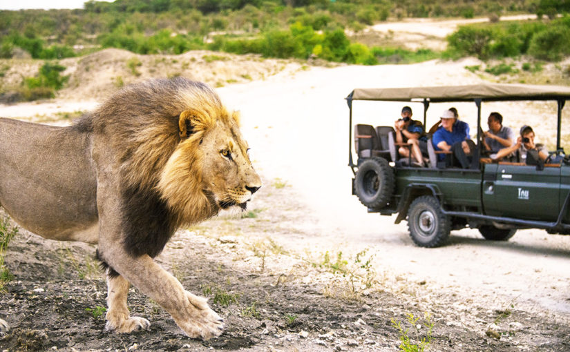 নতুন রূপে সেজে উঠেছে দক্ষিণ আফ্রিকা