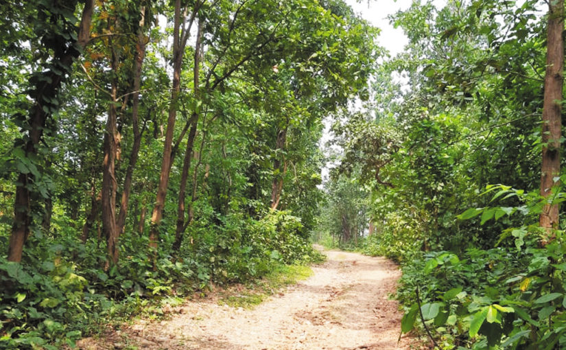 বাঁকুড়ার মণিমাণিক্য ( পর্ব ২ )