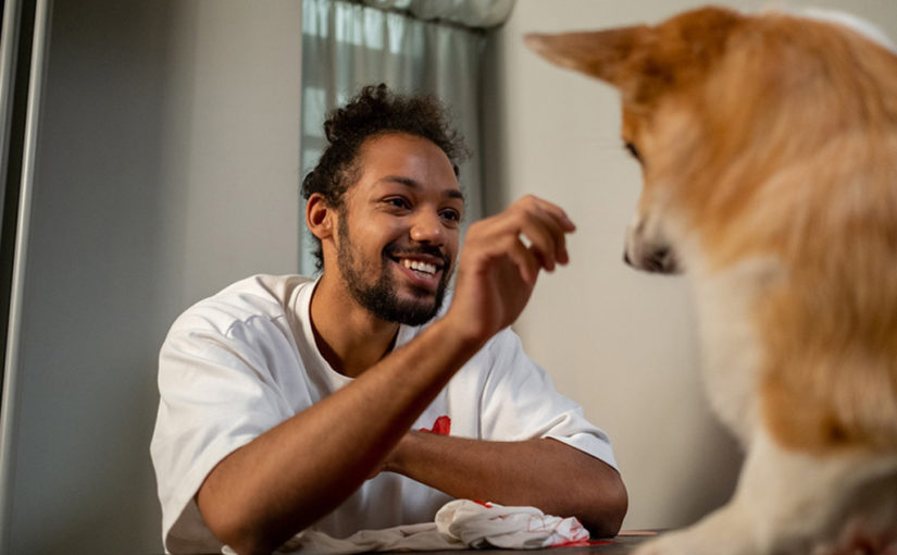 সম্পর্কের বন্ধনে আপনি ও আপনার পোষ্যটি