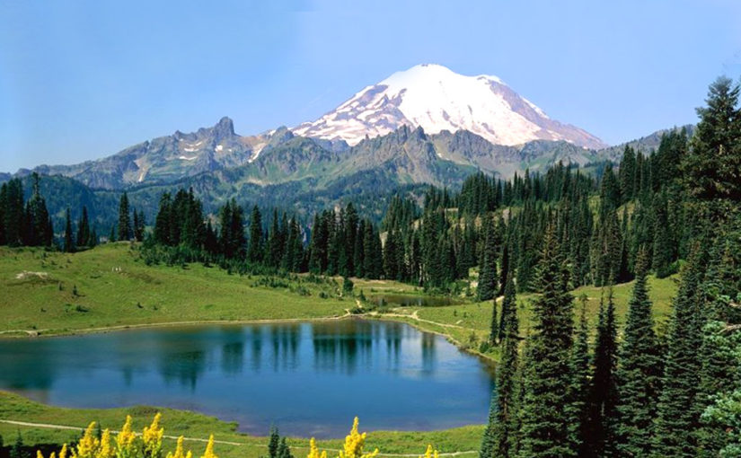 নিরালায় মধুচন্দ্রিমা (শেষ পর্ব)