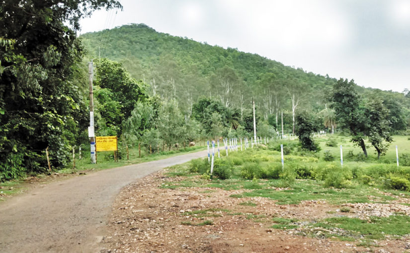 শুশুনিয়ার পাহাড়শীর্ষে (পর্ব ১)