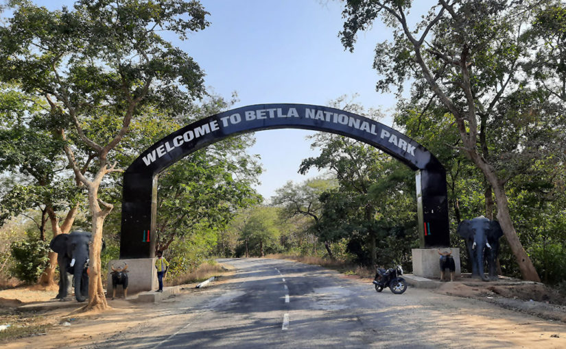 অরণ্যে দিনরাত্রি (ঝাড়খণ্ড)