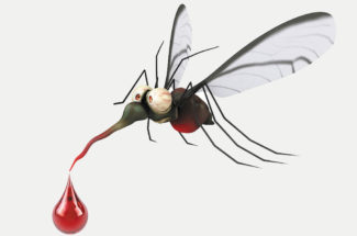 Dengue and subsequent problems and precautions
