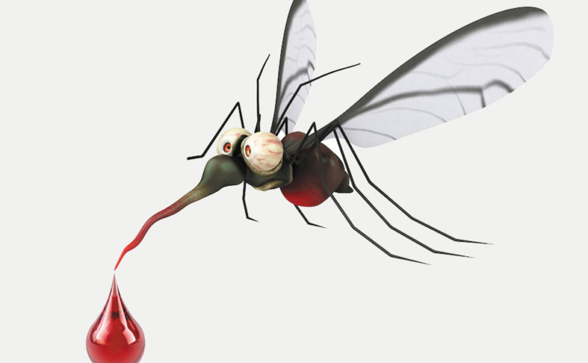 ডেঙ্গু এবং পরবর্তী সমস্যা ও সতর্কতা