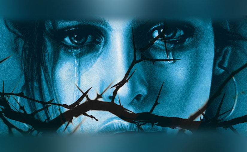 শেল্টার হোম কতটা সুরাহা করে?