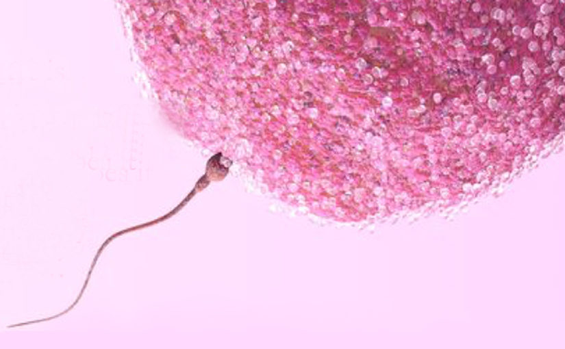 ওভারিয়ান রিজার্ভ