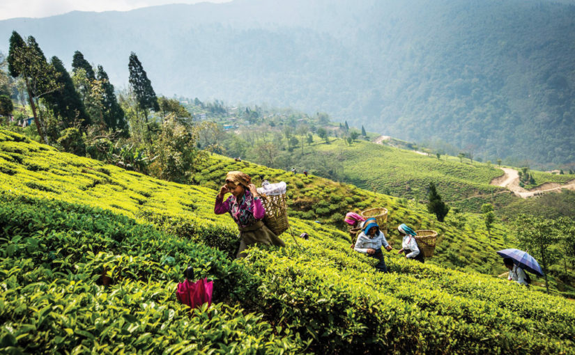 মেঘমুলুকে কয়েক দিন (শেষ পর্ব)