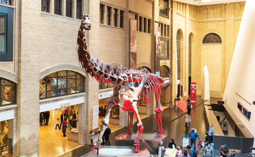 তিলোত্তমা টরোন্টো (পর্ব ০৬)