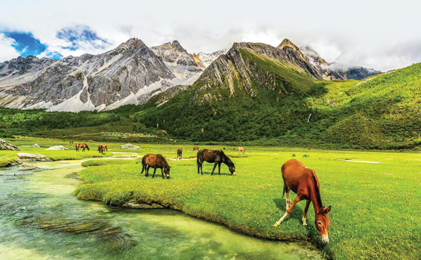 কাশ্মীর ভ্রমণ পথে (পর্ব ০১)