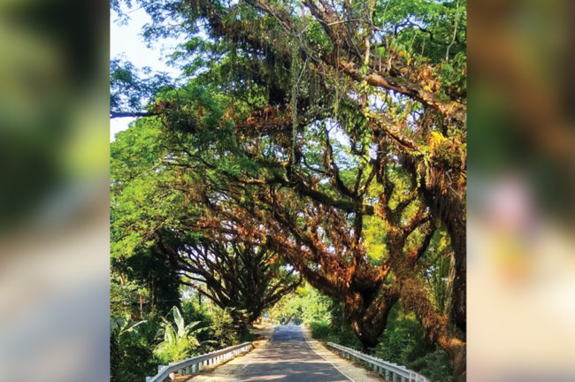 অলীক পাহাড়িয়া (শেষ পর্ব)